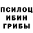 Псилоцибиновые грибы мицелий vanHansdebaer