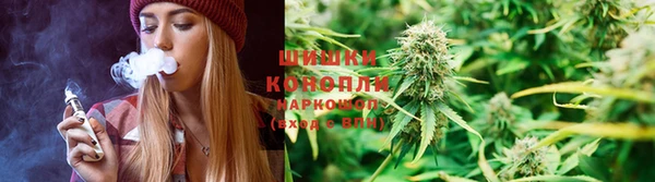 ECSTASY Липки