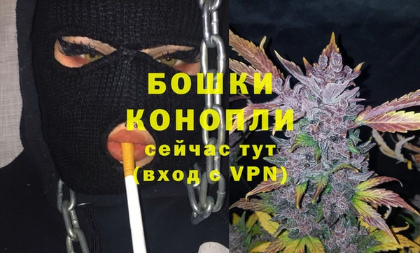 ECSTASY Липки