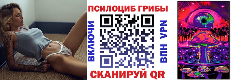 Галлюциногенные грибы прущие грибы  Цоци-Юрт 